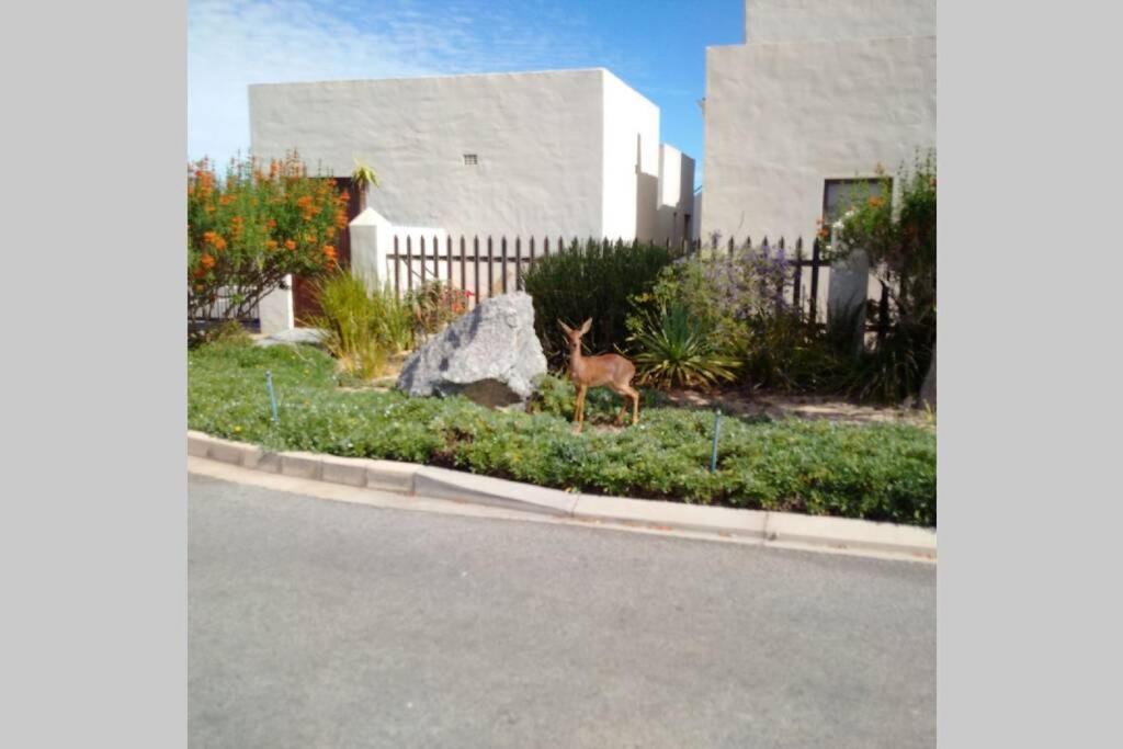 Little Italy Beachouse Apartment By Mykonos Langebaan Exterior photo